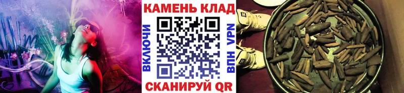 kraken зеркало  мориарти наркотические препараты  ГАШИШ VHQ  Афипский 