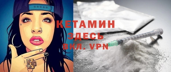 стаф Дмитриев