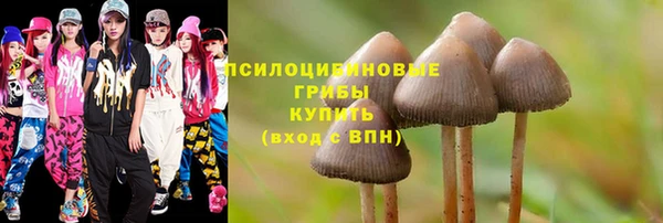 дурь Дмитровск