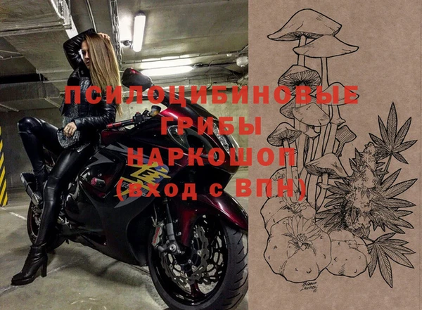 стаф Дмитриев