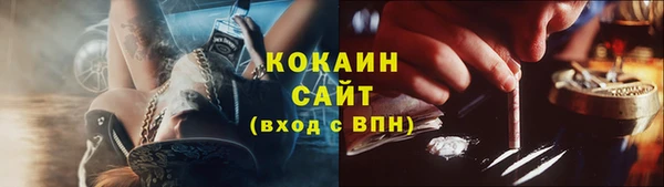стаф Дмитриев