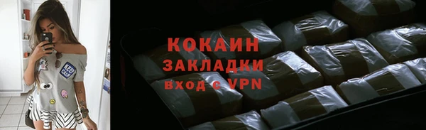 стаф Дмитриев