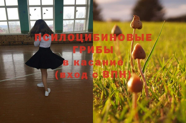 дурь Дмитровск