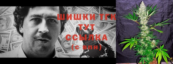 дурь Дмитровск