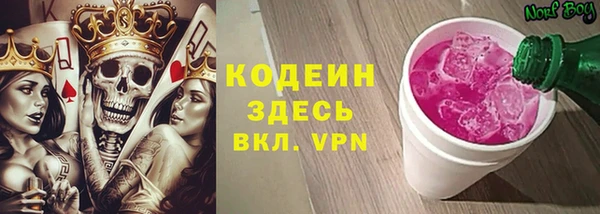 стаф Дмитриев