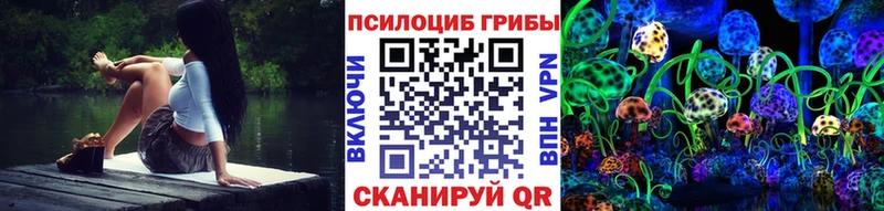 купить  цена  Афипский  Галлюциногенные грибы GOLDEN TEACHER 